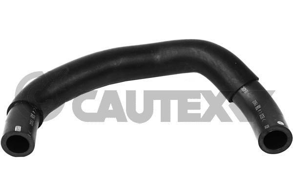 Cautex 765053 Hose, cylinder head cover breather 765053: Buy near me in Poland at 2407.PL - Good price!