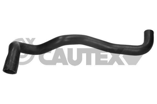 Cautex 771690 Radiator hose 771690: Buy near me in Poland at 2407.PL - Good price!