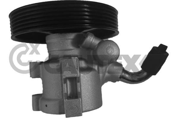 Cautex 768312 Hydraulic Pump, steering system 768312: Buy near me in Poland at 2407.PL - Good price!