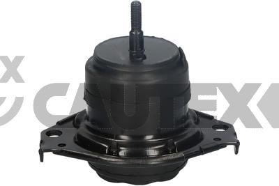 Cautex 769240 Engine mount 769240: Buy near me in Poland at 2407.PL - Good price!