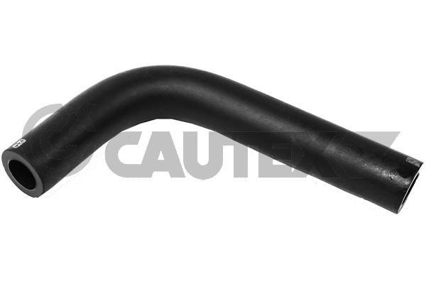 Cautex 765055 Hose, cylinder head cover breather 765055: Buy near me in Poland at 2407.PL - Good price!