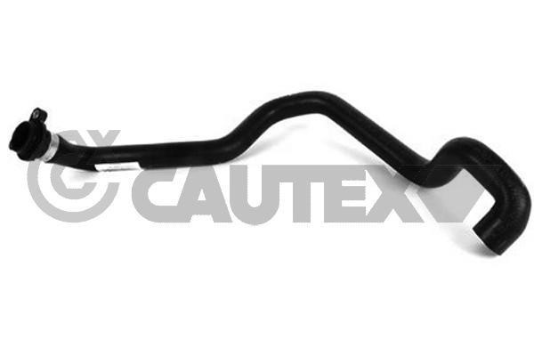 Cautex 754341 Radiator hose 754341: Buy near me in Poland at 2407.PL - Good price!