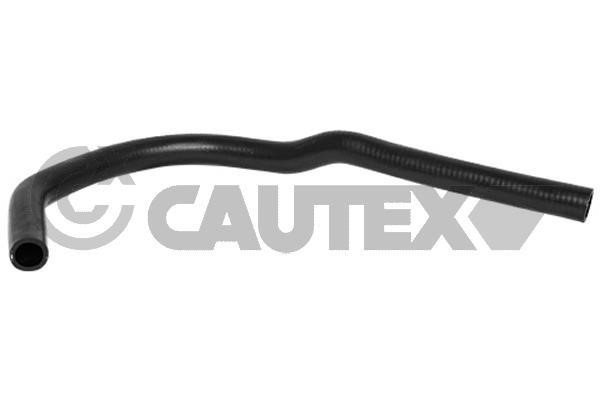Cautex 754288 Radiator hose 754288: Buy near me in Poland at 2407.PL - Good price!
