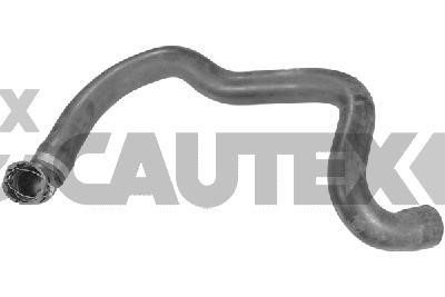 Cautex 770355 Radiator hose 770355: Buy near me in Poland at 2407.PL - Good price!
