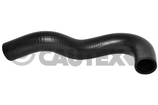 Cautex 754184 Radiator hose 754184: Buy near me in Poland at 2407.PL - Good price!