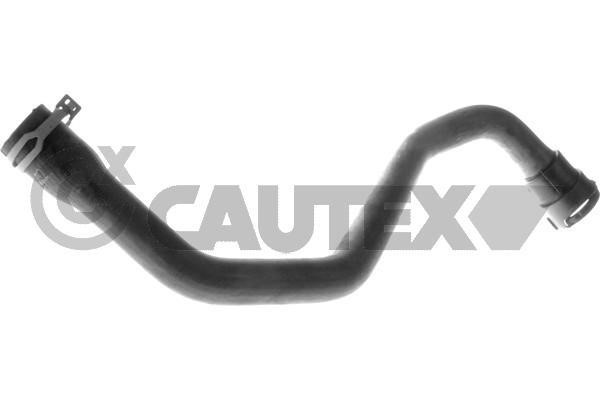Cautex 757869 Radiator hose 757869: Buy near me in Poland at 2407.PL - Good price!