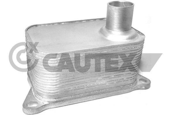 Cautex 462518 Oil cooler 462518: Buy near me at 2407.PL in Poland at an Affordable price!