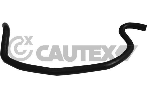 Cautex 753953 Radiator hose 753953: Buy near me at 2407.PL in Poland at an Affordable price!