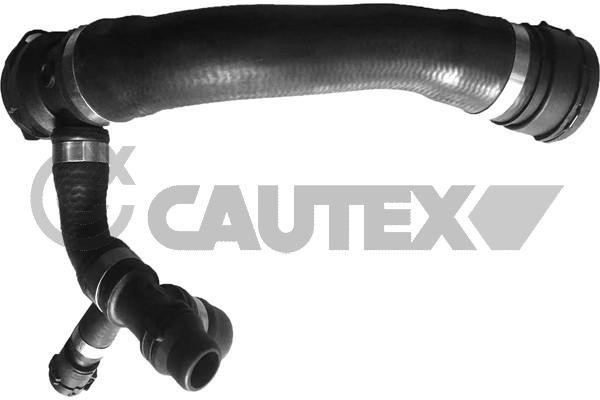 Cautex 765640 Radiator hose 765640: Buy near me in Poland at 2407.PL - Good price!