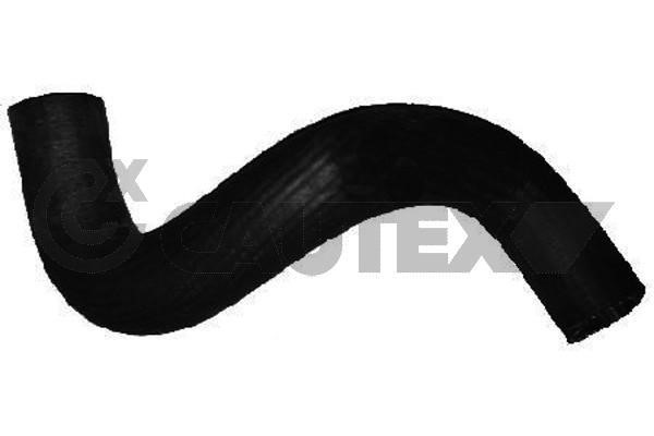 Cautex 753597 Radiator hose 753597: Buy near me in Poland at 2407.PL - Good price!