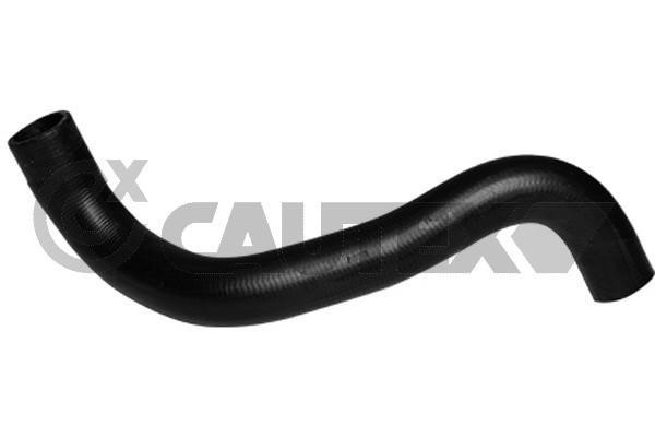 Cautex 754239 Radiator hose 754239: Buy near me in Poland at 2407.PL - Good price!