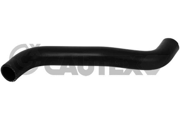 Cautex 754161 Radiator hose 754161: Buy near me in Poland at 2407.PL - Good price!