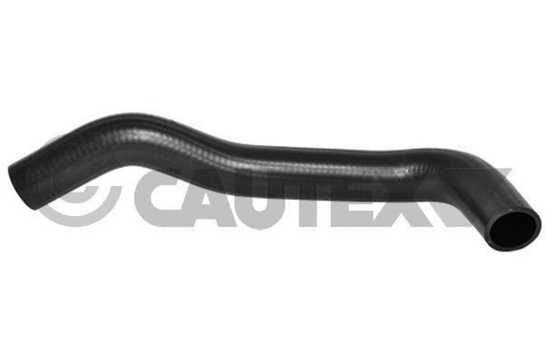 Cautex 754228 Radiator hose 754228: Buy near me in Poland at 2407.PL - Good price!