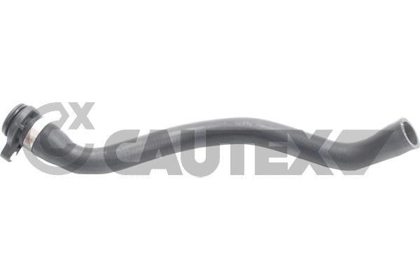 Cautex 765499 Radiator hose 765499: Buy near me in Poland at 2407.PL - Good price!