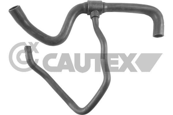 Cautex 770453 Radiator hose 770453: Buy near me in Poland at 2407.PL - Good price!