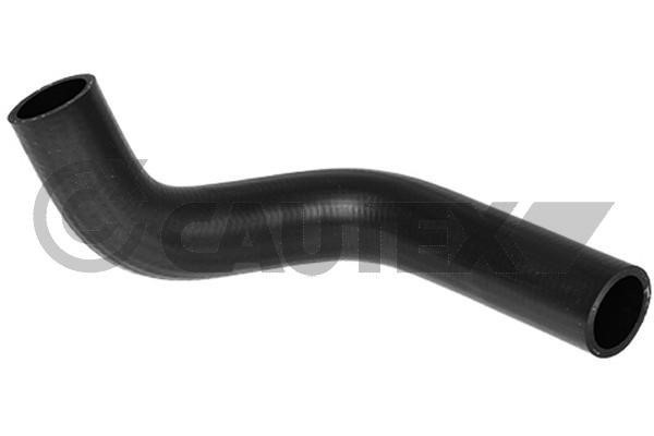 Cautex 754177 Radiator hose 754177: Buy near me in Poland at 2407.PL - Good price!