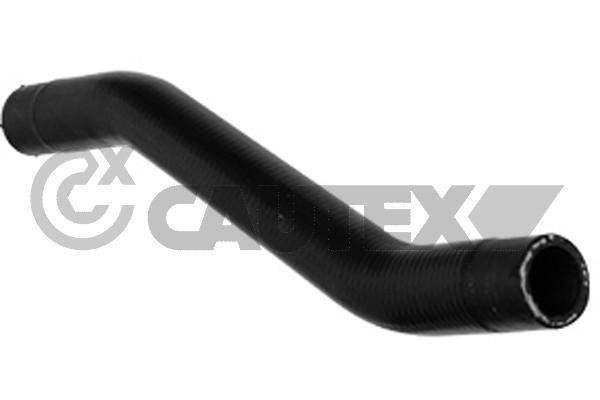 Cautex 754259 Radiator hose 754259: Buy near me in Poland at 2407.PL - Good price!