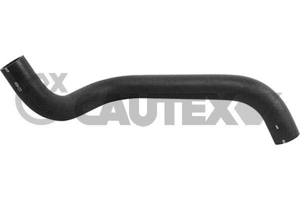 Cautex 753807 Radiator hose 753807: Buy near me in Poland at 2407.PL - Good price!