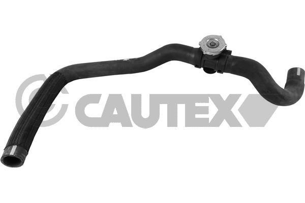 Cautex 753760 Radiator hose 753760: Buy near me in Poland at 2407.PL - Good price!