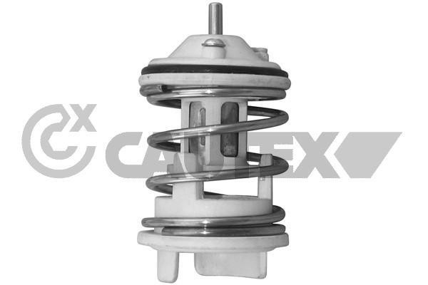 Cautex 756852 Thermostat, coolant 756852: Buy near me in Poland at 2407.PL - Good price!
