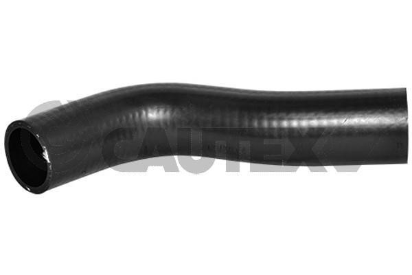 Cautex 754272 Radiator hose 754272: Buy near me in Poland at 2407.PL - Good price!