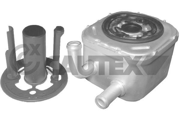 Cautex 751719 Oil Cooler, engine oil 751719: Buy near me in Poland at 2407.PL - Good price!