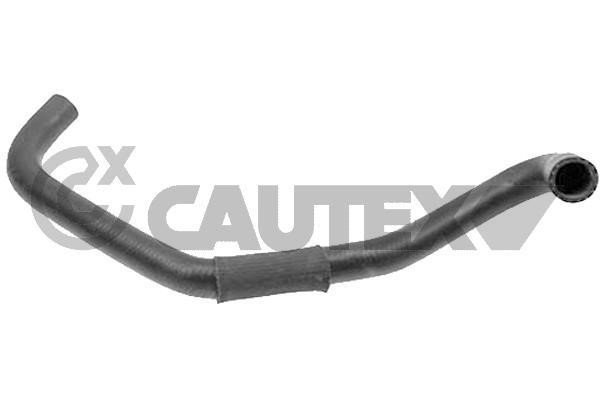 Cautex 769684 Radiator hose 769684: Buy near me in Poland at 2407.PL - Good price!