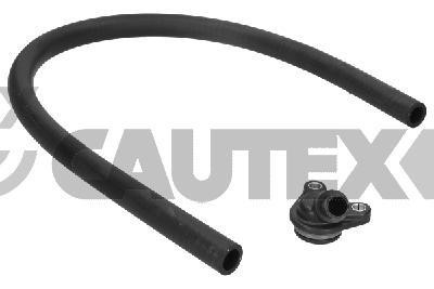 Cautex 771437 Radiator hose 771437: Buy near me in Poland at 2407.PL - Good price!