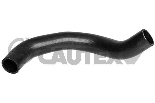 Cautex 754238 Radiator hose 754238: Buy near me in Poland at 2407.PL - Good price!