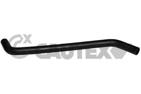 Cautex 754258 Radiator hose 754258: Buy near me in Poland at 2407.PL - Good price!