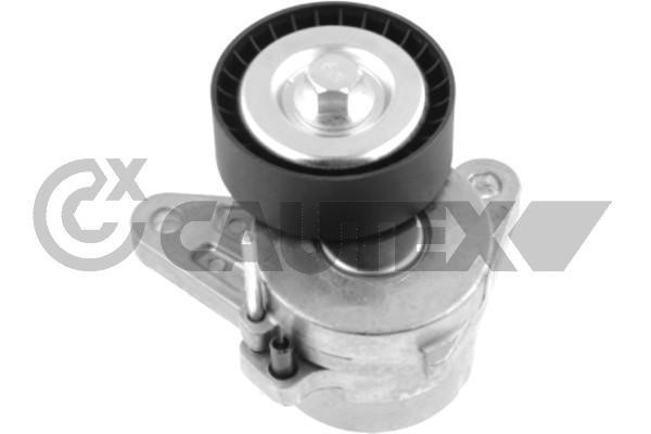 Cautex 751717 Idler roller 751717: Buy near me in Poland at 2407.PL - Good price!