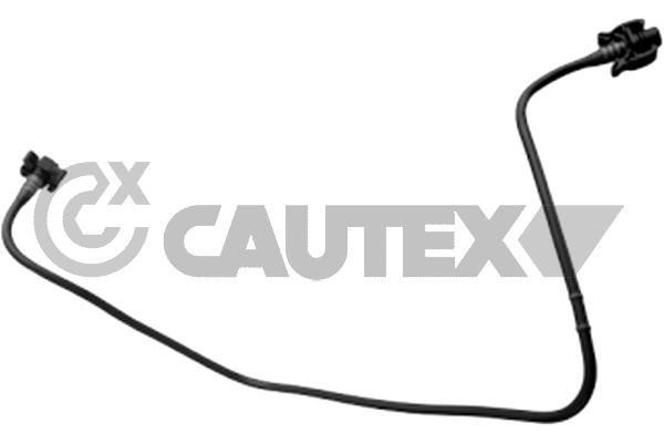 Cautex 771465 Radiator hose 771465: Buy near me in Poland at 2407.PL - Good price!