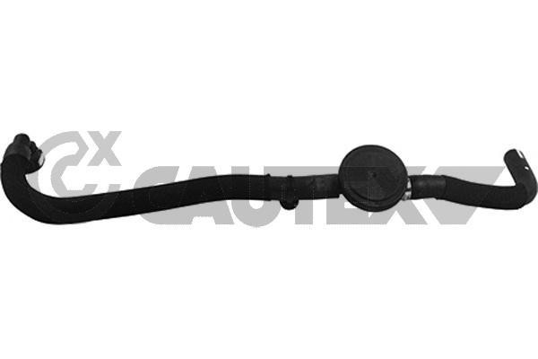 Cautex 764860 Hose, cylinder head cover breather 764860: Buy near me in Poland at 2407.PL - Good price!