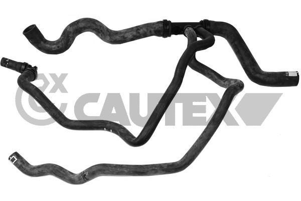 Cautex 765232 Radiator hose 765232: Buy near me in Poland at 2407.PL - Good price!