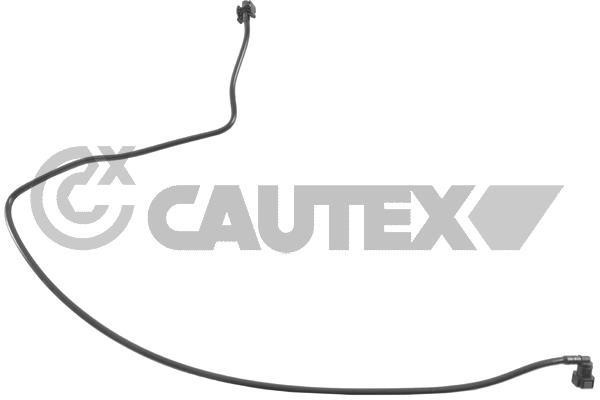 Cautex 770181 Шланг радиатора 770181: Отличная цена - Купить в Польше на 2407.PL!