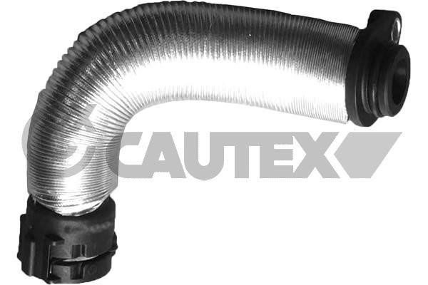 Cautex 765637 Radiator hose 765637: Buy near me in Poland at 2407.PL - Good price!
