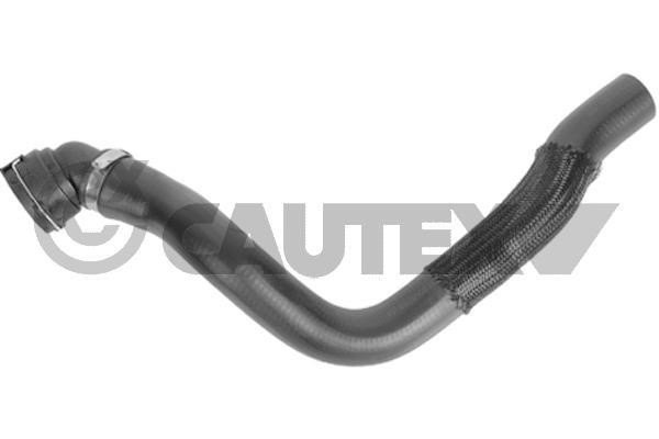 Cautex 771615 Radiator hose 771615: Buy near me at 2407.PL in Poland at an Affordable price!