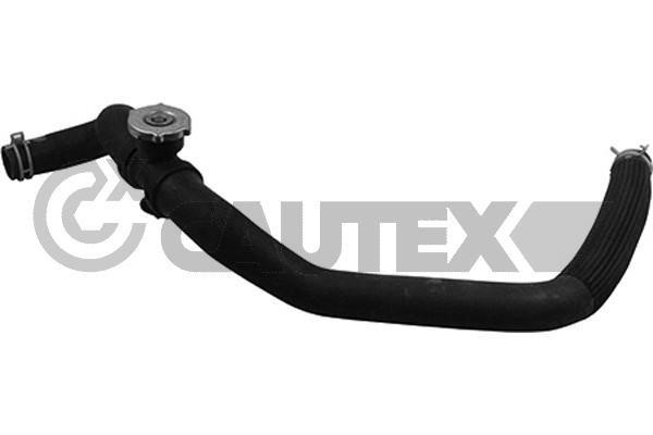Cautex 764587 Radiator hose 764587: Buy near me in Poland at 2407.PL - Good price!