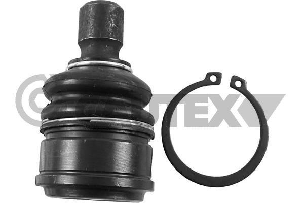 Cautex 755064 Ball joint 755064: Buy near me in Poland at 2407.PL - Good price!