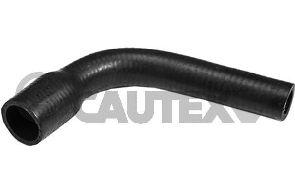 Cautex 753360 Radiator hose 753360: Buy near me in Poland at 2407.PL - Good price!