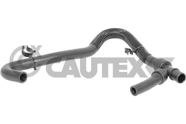 Cautex 770968 Radiator hose 770968: Buy near me in Poland at 2407.PL - Good price!