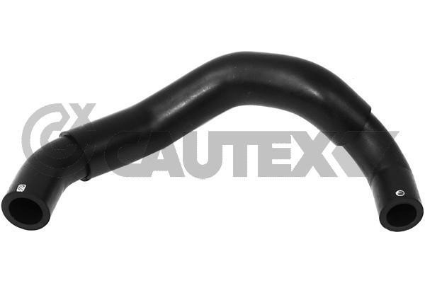 Cautex 765050 Hose, cylinder head cover breather 765050: Buy near me in Poland at 2407.PL - Good price!