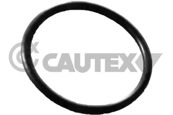 Cautex 758563 Seal, coolant tube 758563: Buy near me at 2407.PL in Poland at an Affordable price!