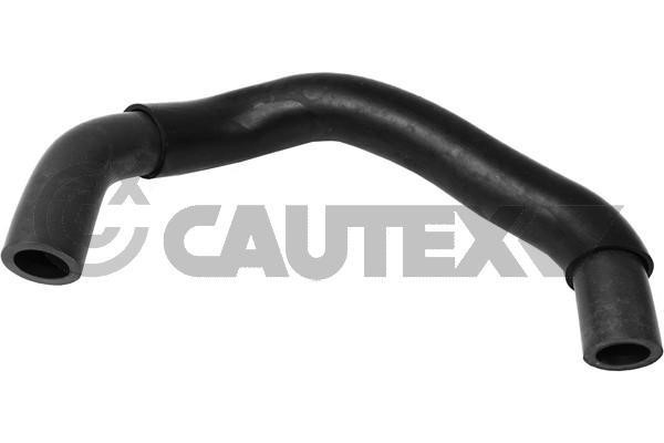 Cautex 765051 Hose, cylinder head cover breather 765051: Buy near me in Poland at 2407.PL - Good price!
