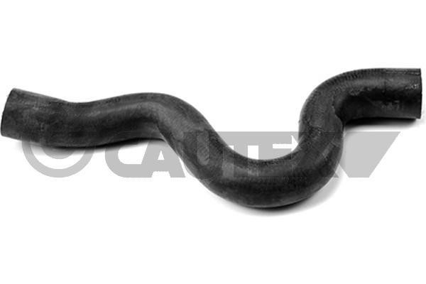 Cautex 753377 Radiator hose 753377: Buy near me in Poland at 2407.PL - Good price!