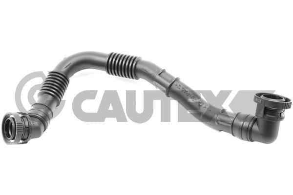Cautex 757977 Hose, cylinder head cover breather 757977: Buy near me in Poland at 2407.PL - Good price!