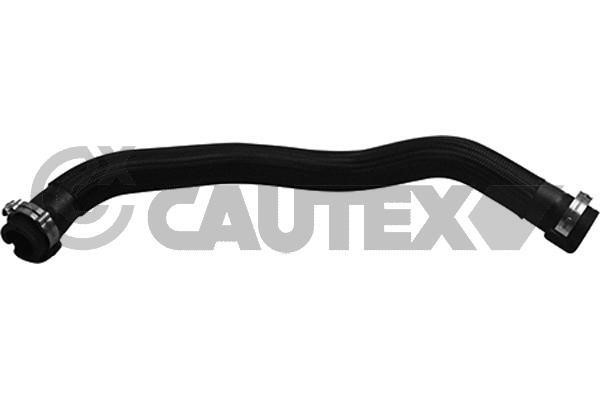 Cautex 753125 Hose, cylinder head cover breather 753125: Buy near me in Poland at 2407.PL - Good price!