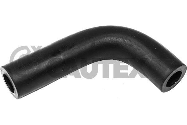 Cautex 765056 Hose, cylinder head cover breather 765056: Buy near me in Poland at 2407.PL - Good price!
