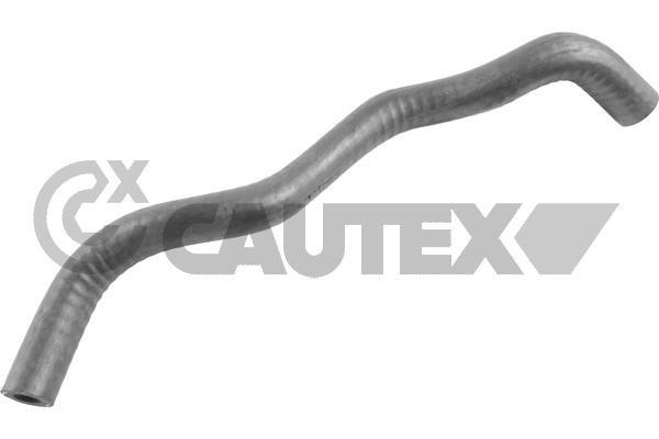 Cautex 766556 Hose, cylinder head cover breather 766556: Buy near me in Poland at 2407.PL - Good price!