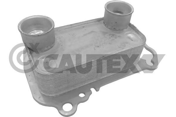 Cautex 769282 Oil Cooler, engine oil 769282: Buy near me in Poland at 2407.PL - Good price!